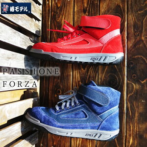 փf ؎Y ATENEOAelI ZR-21V[Y SC AG21AG22 {vJISxAv  