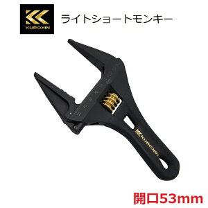 y[։ztW FUJIYA L[` CgV[gL[`()Obvt J53mm FLS53-BG J ObvtV[g