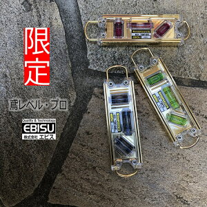 yS[hzGrX EBISU  grxEv ED-TBPG 160mm VbN JriΉ ̓}Olbg g