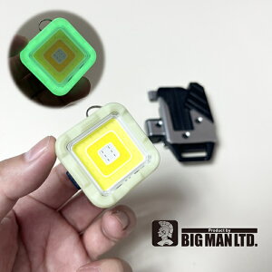 rbO} BIG MAN LEDCg BPML-EVO2 ~LED~j~j|PbgCg [dL[u ő1000lm[ Zt