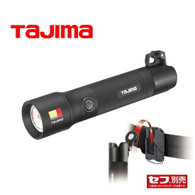 タジマ TAJIMA セフハンドライト 500ルーメンlm 充電池セット SFNDH50A-B47 セフ着脱式ライト