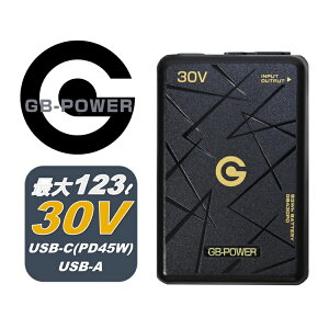 ��PD�|�[�g�t�� �o�b�e���[�P�i�y2026�N30V�z���M�W���p�� �o�b�e���[ GB430PD GB-POWER �ő�30V�ƊE�g�b�v�N���X��e��93Wh �_�u���o�̓|�[�gUSB-A/USB-C �d���t�@���t���E�G�A �󒲃E�F�A �M���Ǒ΍�