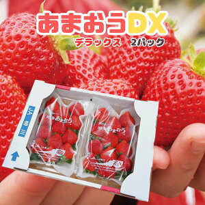 Y  h܂h DXifbNXj 1 2pbNi1pbN270gjz@蕨Ɂ@yz 嗱  Xgx[ strawberry Of G t[c Mtg 蕨 XC