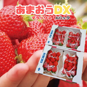 Y  h܂h DXifbNXj 2 4pbNi1pbN270gjz@蕨Ɂ@yz 嗱  Xgx[ strawberry Of G t[c Mtg 蕨 XC