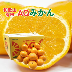 a̎RY ɑ hAQ݂h S/M/L TCY 5Kg 10kg ݂ Lc݂ ykCEEȊOz Lc݂  ~J  t[c ʕ Mtg  v[g j