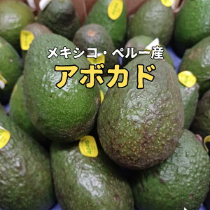 LVREy[Y hA{Jhh 10`30 1150OO@ykCEEȊOz avocado e N t[c Mtg 蕨 XC[c v[g َq j a j