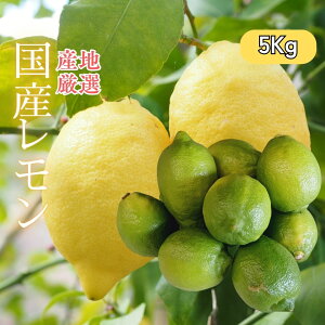 a̎RY "Y" 5kg O[ykCEEȊOz r^~C  ʎ k VN l[h ƒp@Japanese Lemon for Home Use
