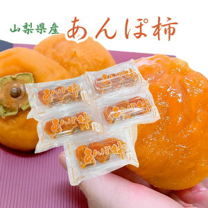 RY h˂Ȃ`̂ۊ`h 140gO×5pc 10pci1pc 2`4ʓj yEȊOz t[c Mtg 蕨 XC[c v[g j  ` ۊ` sc`