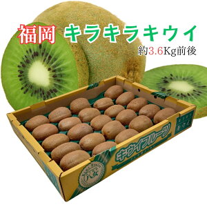  Y hLLLEC h 24`30 Yn ykCEEȊOz ƒ  ̓ ̓ v[g  ƒ Mtg  Ε ~ t[cMtg Ε