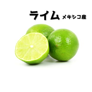 LVRY hCh 10`40 ykCEEȊOz k e p ƒp  Ε Mtg 蕨 t[c Mtg v[g Ε 