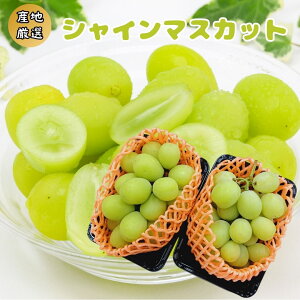 hVC}XJbgh 2pbN YnI {s肨͂ ykCEEȊOz@Ԃǂ uhE ȂԂǂ Mtg 蕨 N[֔    