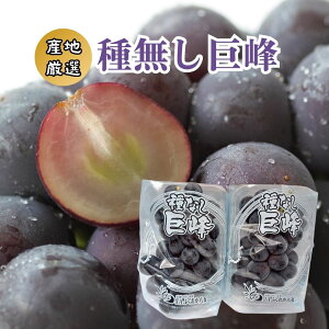 hȂh 2pbN YnI {s肨͂ ykCEEȊOz@ ƒ Mtg  uhE Ԃǂ ʕ t[c fU[g XC[c VN