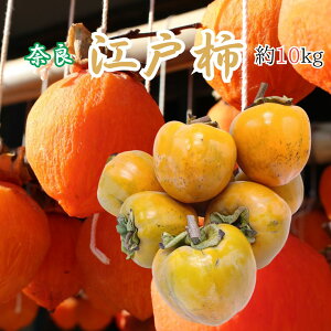 ޗǌg `E݂邵`p ha` ]ˊ`h 2L`4L 10kg ykCEEȊOz t[c Mtg 蕨 XC[c v[g j  ` ۊ` sc`