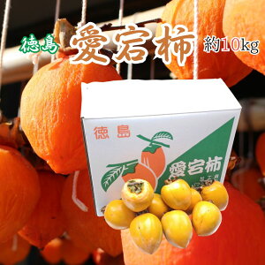 Y `E݂邵`p ha` `h 10kg ykCEEȊOz t[c Mtg 蕨 XC[c v[g j  ` ۊ` sc`