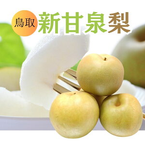 Y hVÐi񂩂񂹂jh Pear Gi 10`16ʑO 5kg  ԗ 20I } Ȃ iV Mtg p ʕ  t[c  hV̓ Mtg v[g Fruit 