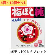 [アサヒ] 梅ぼし純 24粒【2個・4個・10個セット】 全国送料無料 熱中症予防 自衛隊御用達 消防隊 塩分補…