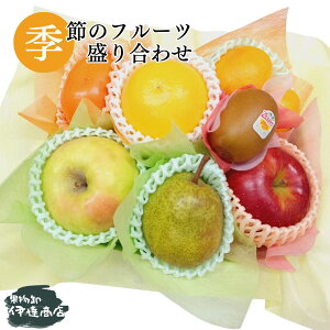 Ε t[cMtg t[c ʕ 荇킹 lߍ킹 Zbg Mtg H H̖o@ v[g 蕨 j j LO a  Cj  @ @v[G߂̃t