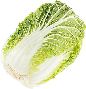 茧Y Y  4ʑO x 1P[X ƖpEʔ̔ ykCEEȊOz
