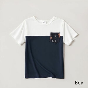 TVc Jbg\[ s[X VlbN eqR[f yAbNX  ԕ eq eqyA Ƒ ][g  C Y fB[X j̎q ̎q s eq C ~h