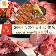 【お買い物マラソン クーポンで10%OFF】本場仙台専門店の味 牛タン 福袋 [並盛 1.5kg 大盛 3kg メガ盛 4k…