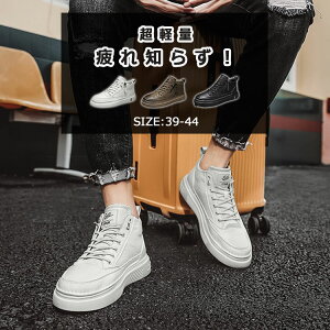 yzY fB[X jp C V[Y Xj[J[ ^C X|[cV[Y jOV[Y y K ʋ ʊw U EH[LO AEghA Lv nCJbg 