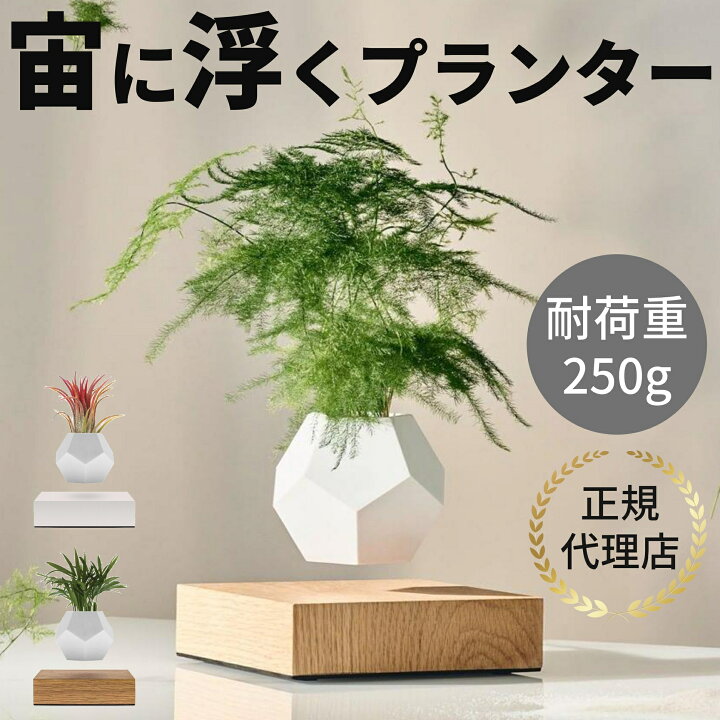 楽天市場】ライフ プランター インテリア 鉢植え 植木鉢 小型