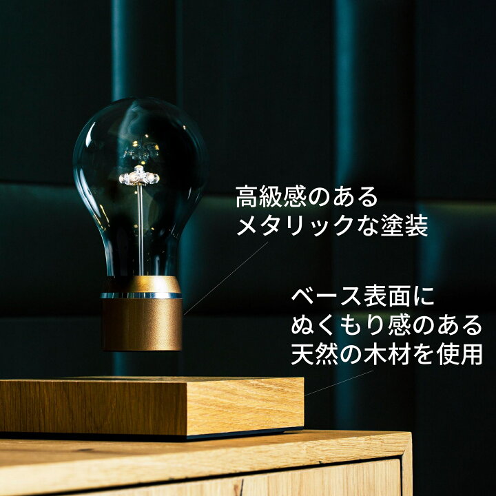 楽天市場】【限定モデル販売】フライトライト 電球 ライト インテリア 