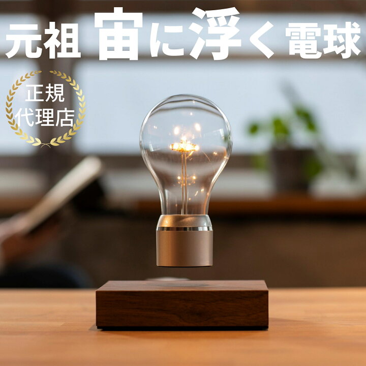 楽天市場】フライトライト 電球 ライト インテリア 照明 間接照明 