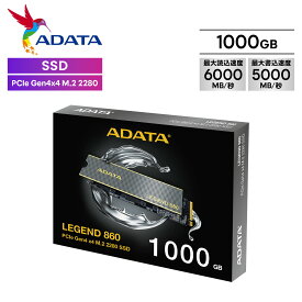SSD LEGEND 860 1000GB PCIe Gen4x4 M.2 2280 最大読込速度6000MB/秒 PS5 対応 取り外し可能なヒートシンク SLEG-860-1000GCS-I