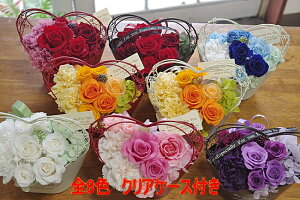 vU[uht[ uL̃n[g  3980~ NAP[Xtt