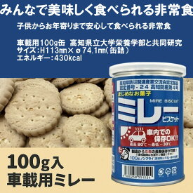 野村煎豆加工店 車載用 ミレービスケット 100g 賞味期限4年半〜 まじめなお菓子 ノンフライ 非常食