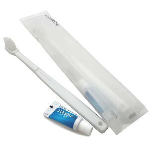 y100{zuV 24׃^Cv t(3g) (}bgF100{, zCg)@ĝ Ɩp toothbrush ze AjeB ^Cv qI