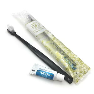 y100{zuV 24׃^Cv t(3g) (F100{ ubN) ĝĎuV Ɩp uVZbg toothbrush ܂Ƃߔ nuV AjeB