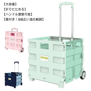 45L 65L ܂肽 L[J[g VbsOJ[g 2 J[g Wt VbsOp  AEghA Lvp RpNg ƒp ȒPg ȒPt