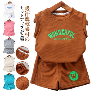 TVc q n[tpc m[X[u LbY ZbgAbv ^Ngbv V[gpc  LbY g[jOEFA qǂ X|[cEFA ǂ ʋC ㉺Zbg xr[ c