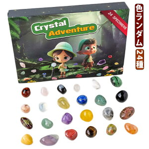 24Zbg NX}X zΕW{24   ΕW{ VRz NX}X v[g WFXg[ E̐΃RNV bN~l RNV nȊwLbg AW