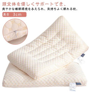 [^Cv  􂦂  Ⴂ ܂ 40×60cm 48×74cm   ^  ʋC ŃT|[g тh~  Ђ l WjA qp Ⴂ y  ň  _炩 s