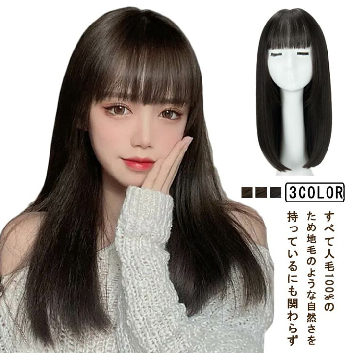 人毛100% 医療用 フルウィッグ セミロング ストレート ブラック 