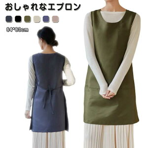 fB[X ۈm Vv Ɩp  Gv Ɩp JtF jtH[ B Y n Ԃ邾 T Gv H  jp  q  | Ǝ h