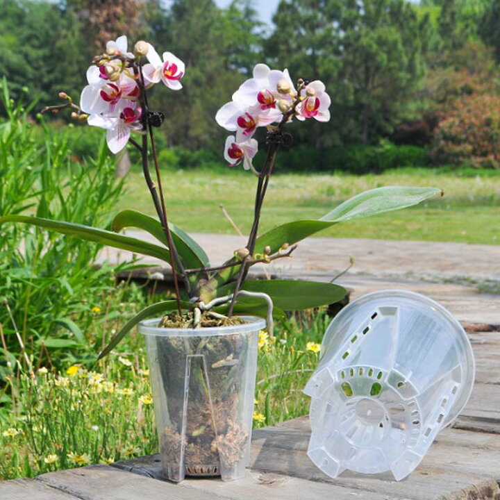 楽天市場】穴付き 受皿付き プラスチック 洋蘭鉢 植木鉢 透明 10鉢 
