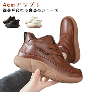 O ₷ fB[X  V[Y fB[XV[Y r ~ ϖ V[Y nCJbgXj[J[ ₷ Xb| RȂ  Xj[J[ Xb