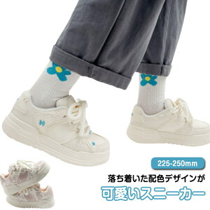  qZ Xj[J[  Xj[J[   _bhV[Y Xj[J[ fB[X r ₷ ~ C ₷ Ȃ ^C 킢 gAb