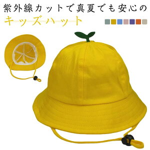 ܂肽 Xq qǂ Ԃ UVJbg ΍L  xr[ Rt  Rbg Lbv nbg LbY LbYp tp Xq qXq ėp ̎q j̎q nbg Xq n 