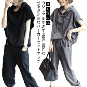  XEFbg㉺Zbg  XEFbg fB[X  ㉺Zbg XEFbgpc t[ht  W[W JWAZbgAbv  n 傫TCY  ̌^