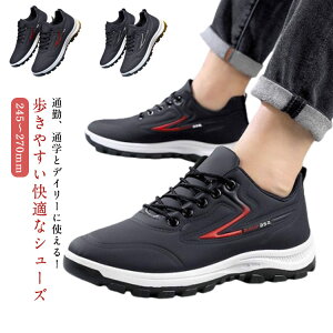 Xj[J[ hV[Y U[V[Y ₷ Xj[J[ y h w tH ~ Ռz Z h WjA Y Xj[J[ ʋ EH[LOV[Y ^C  