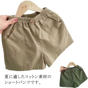 LbY {gX Rbg V[gpc   Y{ ؍    q xr[ j̎q ̎q Zp n  LbYt@bV _炩 3 o