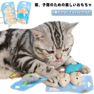 ʂ L Lybg lY~ ybg lY~ ^s 9 L CknbJ Lp lY~ Lpmߋ ނ XgXU 얞΍ F_