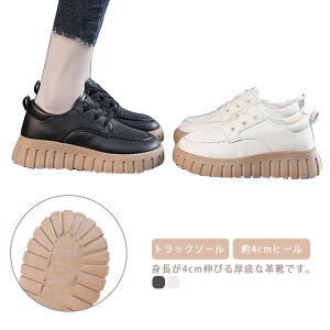 gbN\[  [XAbvV[Y fB[X vC C  U[V[Y gAbv  r 4cmq[ y ₷  wlC Ȃ EH[LOV[Y J