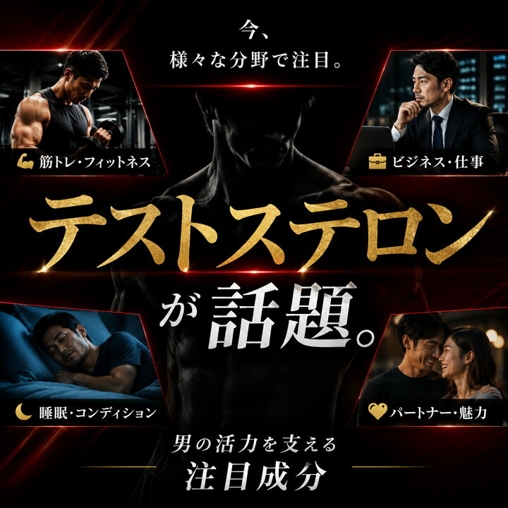 楽天市場】【公式】ダンカツ DANKATSU 男性向け活力ブースター PHYSTA 