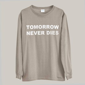 【送料無料】 RadBlue ラッドブルー LONG SLEEVE TEE ロンT T-N-D ロングスリーブTシャツ メンズ 長袖シャツ ブラック ホワイト グレー ベージュ S M L XL rad-lts012